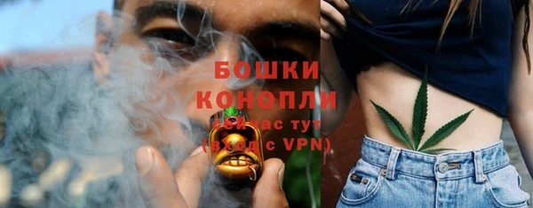 трава Алзамай