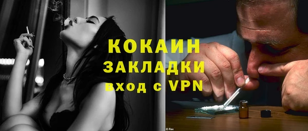 тгк Алексин