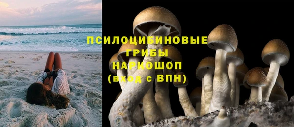 тгк Алексин