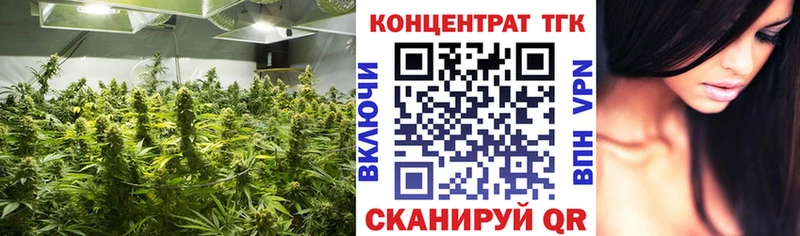 это клад Кукмор ТГК Wax цена